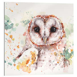 Quadro em plexi-alumínio Barn Owl