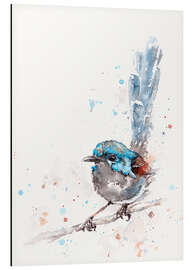 Aluminium print Mischief In The Making (Fairy Wren)