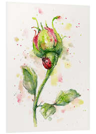 Foam board print Ladybug Lane (ladybird on rose)