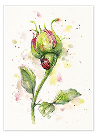Póster  Ladybug Lane (ladybird on rose) - Sillier Than Sally