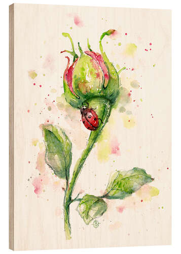 Trebilde Ladybug Lane (marihøne på rose)