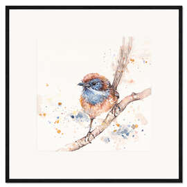 Ingelijste kunstdruk Lickity Split (Mallee Emu Wren)