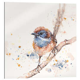 Gallery print Lickity Split (Mallee Emu Wren)