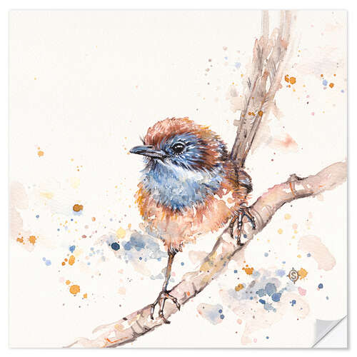 Wall sticker Lickity Split (Mallee Emu Wren)