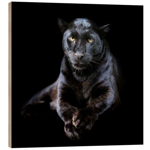 Wood print Black leopard