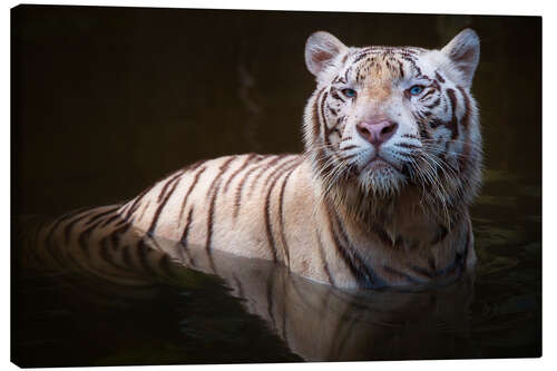 Quadro em tela Tiger bathing