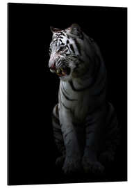 Magnettafel Bleib wo du bist