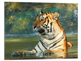 Gallery Print Tiger liegt im Wasser