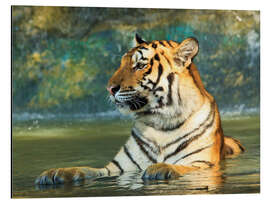 Magnettafel Tiger liegt im Wasser