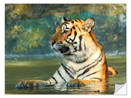 Selvklebende plakat Tiger lying in the water