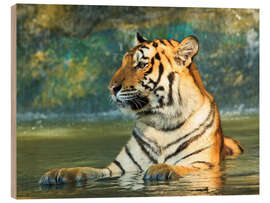 Wood print Tiger lying in the water