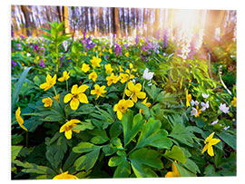 Foam board print Blooming forest soil