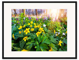 Gerahmter Kunstdruck Blühender Waldboden