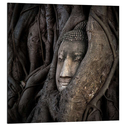 Aluminium print Buddha head in Thailand