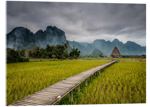 Acrylic print way in paddy field 2