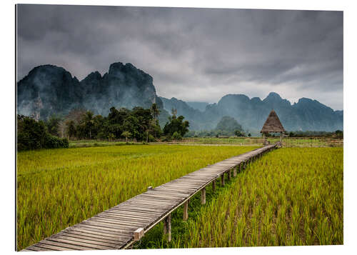 Gallery print way in paddy field 2