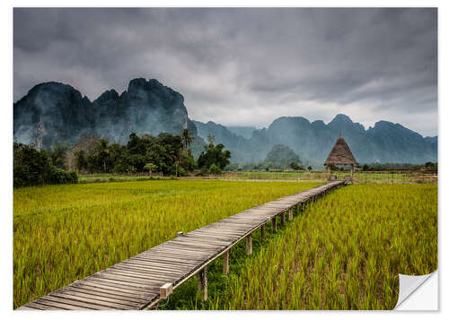 Sticker mural way in paddy field 2