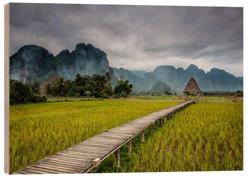 Wood print way in paddy field 2