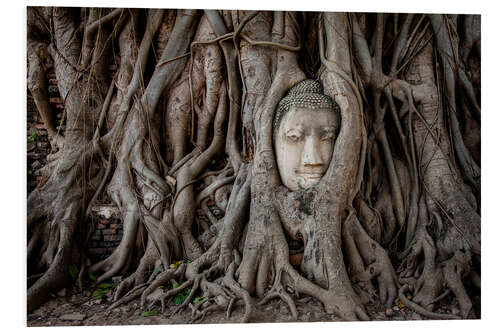 Foam board print Buddha head in Ayutthaya