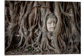 Tableau en plexi-alu Tête de Bouddha à Ayutthaya