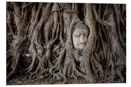 Magnettafel Buddhakopf in Ayutthaya