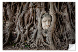 Naklejka na ścianę Buddha head in Ayutthaya