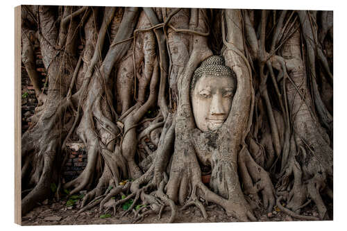 Quadro de madeira Buddha head in Ayutthaya