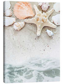 Quadro em tela  Sea Beach with starfish