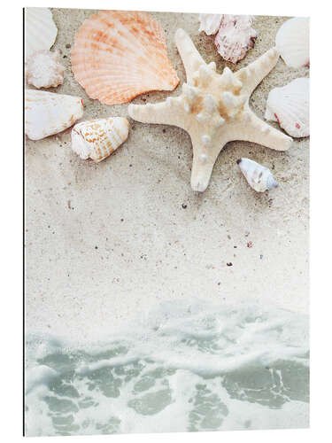 Galleriprint Sea Beach with starfish