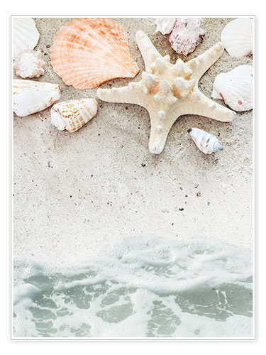 Poster Plage, coquillages et étoile de mer