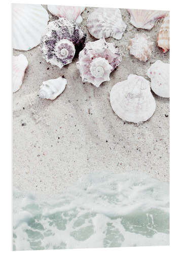 Foam board print Beach with Shells