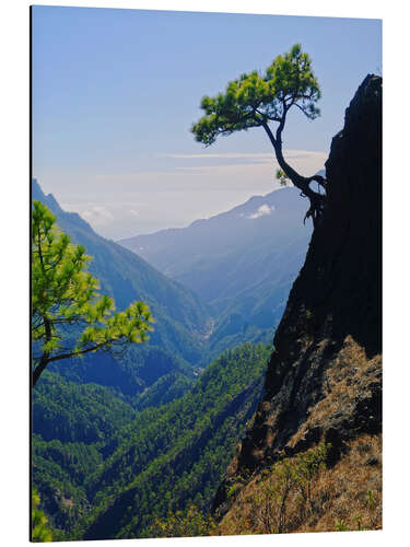 Print på aluminium Caldera de Taburiente, La Palma