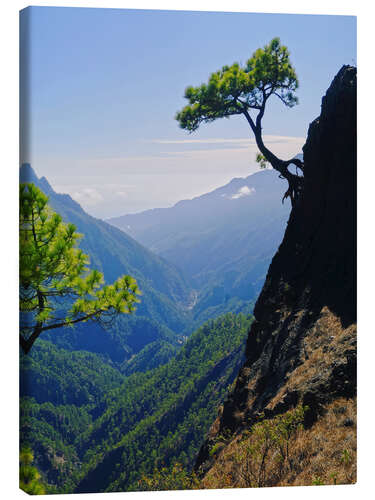 Canvas-taulu Caldera de Taburiente, La Palma