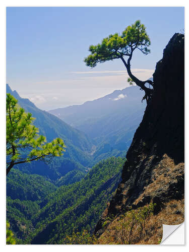 Vinilo para la pared Caldera de Taburiente, La Palma