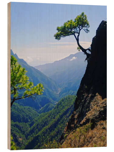 Tableau en bois Caldera de Taburiente, La Palma