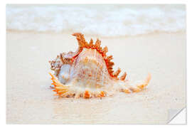 Vinilo para la pared Funny sea shell