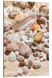 Magnettafel Perle auf einer Muschel