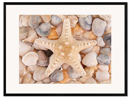Kehystetty taidepainatus Starfish on cockleshells