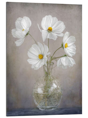 Gallery Print Cosmos