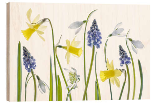 Tableau en bois Spring flora