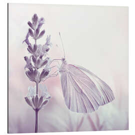 Magnettafel Schmetterling an einer Blume, (Detail)