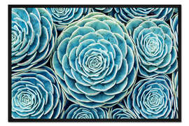 Gerahmter Kunstdruck Sukkulenten-Schwarm