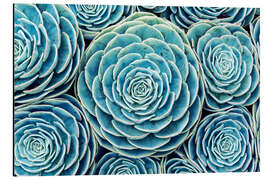 Magnettafel Sukkulenten-Schwarm