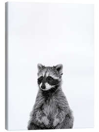 Canvas print Masked Bandit