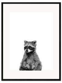 Framed art print Masked Bandit