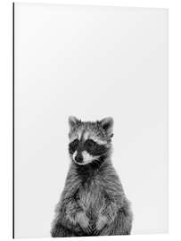 Magnettafel Maskierter Bandit