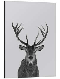 Magnettafel Geweih abstoßen