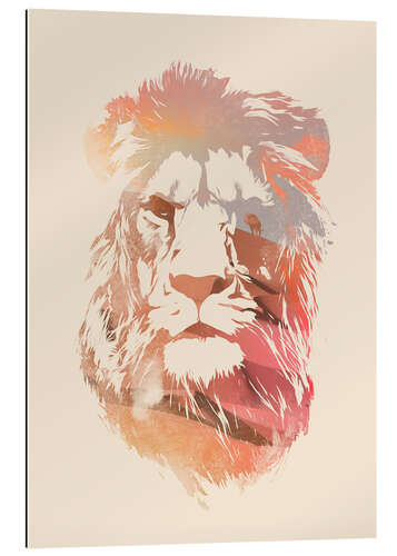 Gallery print Desert lion