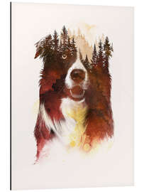 Magnettafel Naturfreund