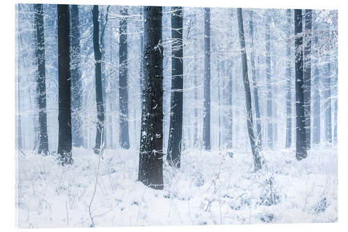 Acrylglasbild Verschneiter Wald im Winter in Skandinavien